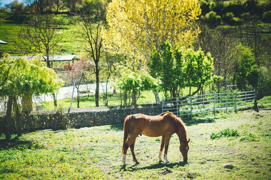 Pi Intrepid Hotel Rural - Adults Only المظهر الخارجي الصورة